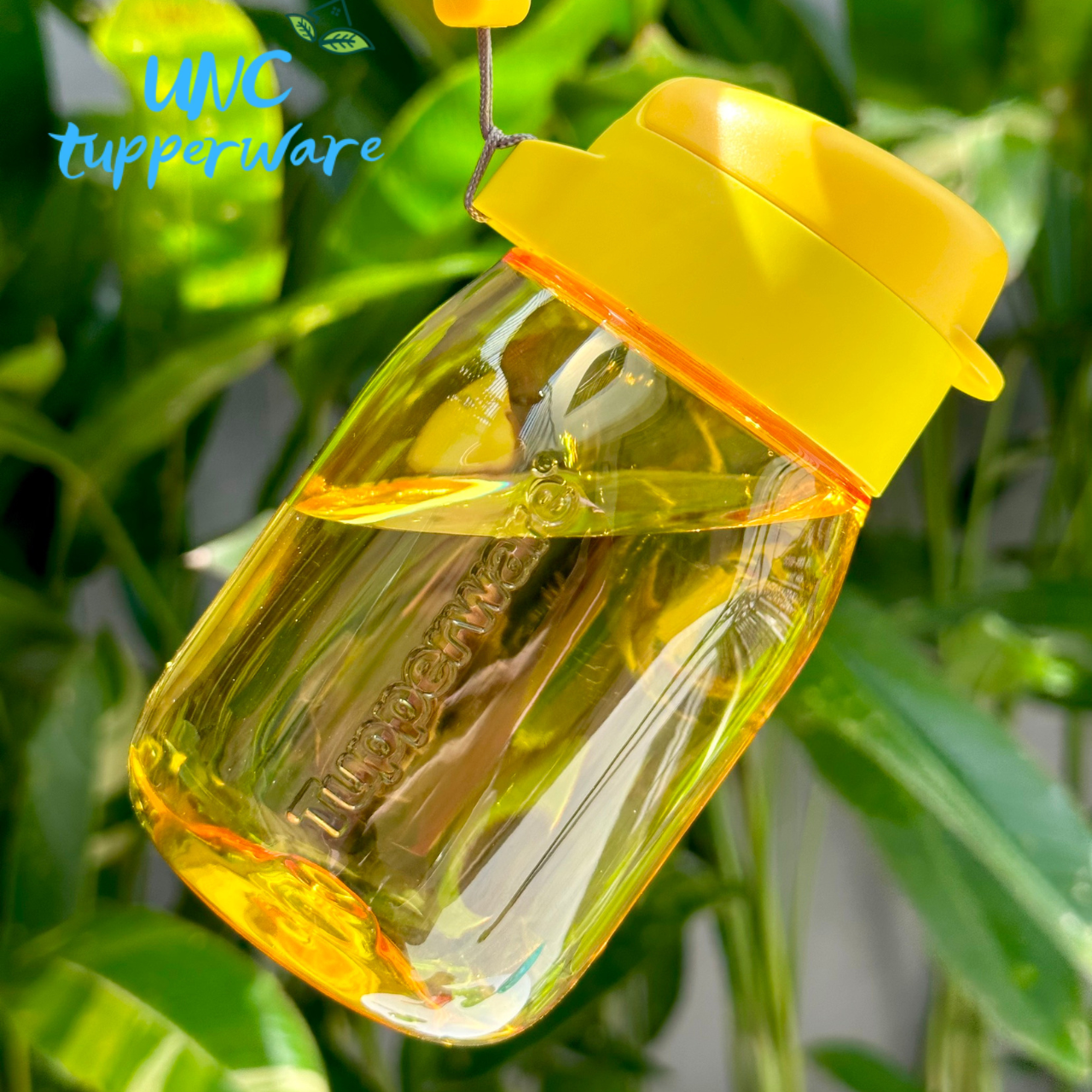 [Nhập RS0822 giảm 30k cho đơn 99k]Bình nước Tupperware Mini Lohas 350ml