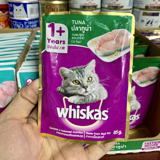 PATE WHISKAS CHO MÈO 🐱🐈🐱