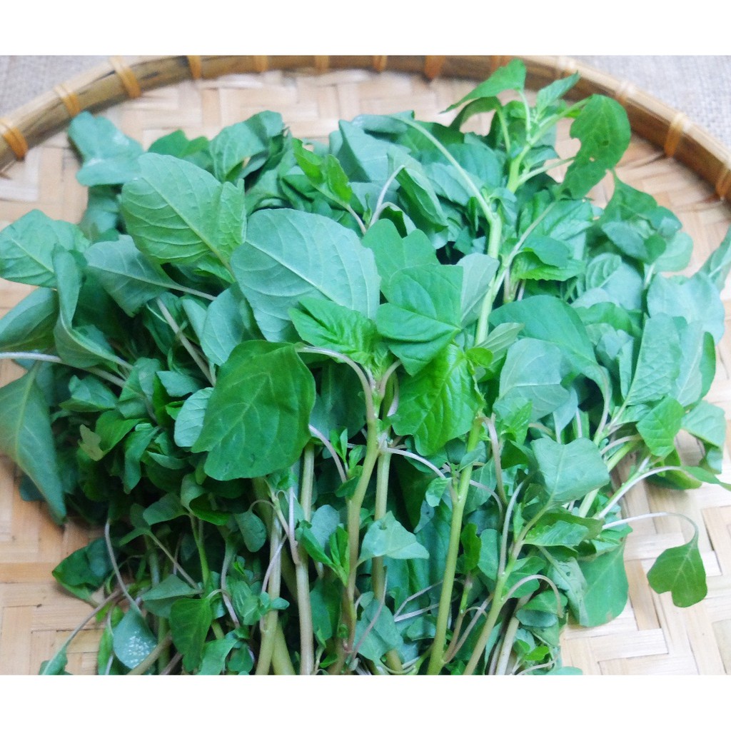 Combo 2 gói Hạt giống rau dền cơm ,dền mini-gói 10gram(tặng kèm phân bón)
