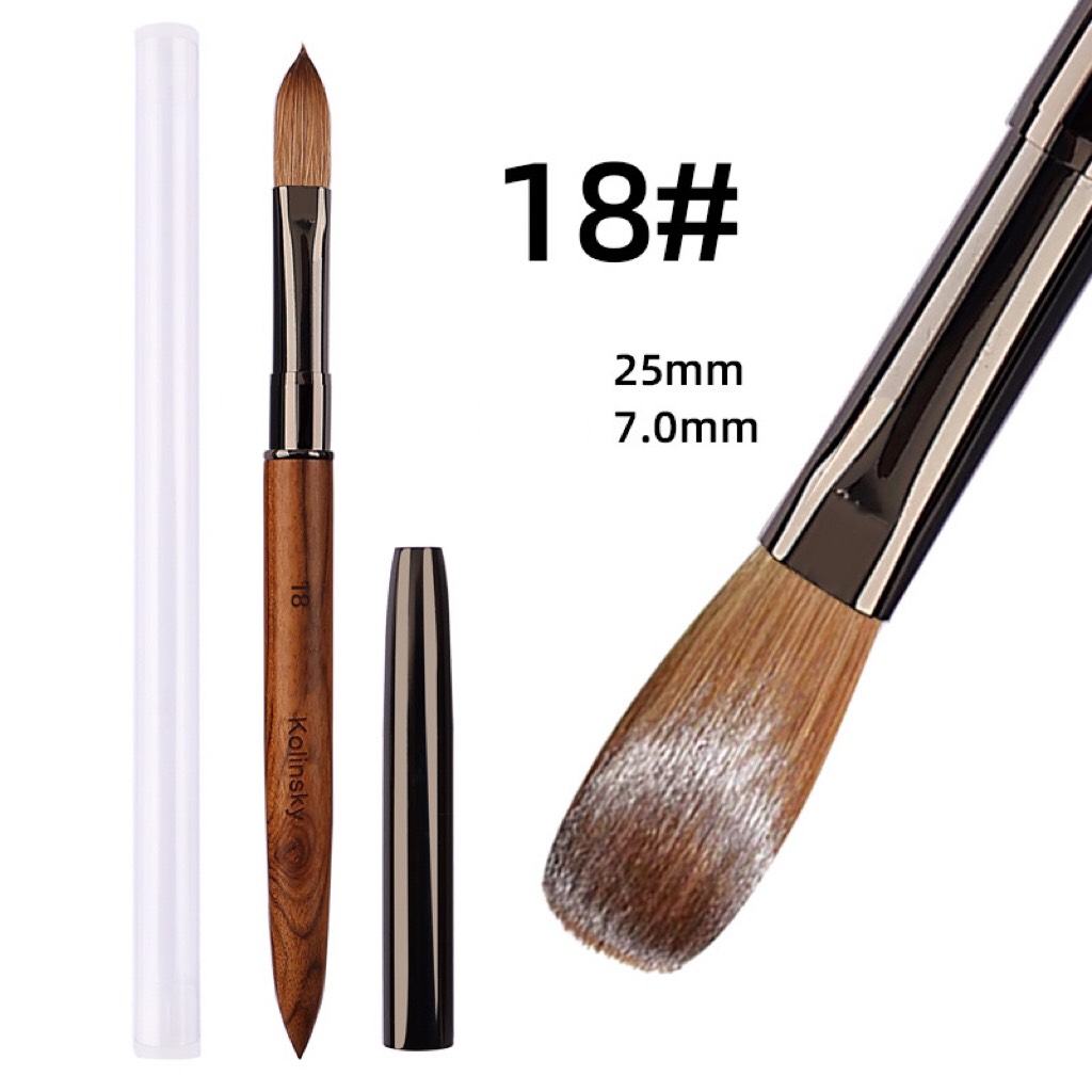 Cọ đắp bột lông chồn số 18 Kolinsky chính hãng cán gỗ cao cấp 1188