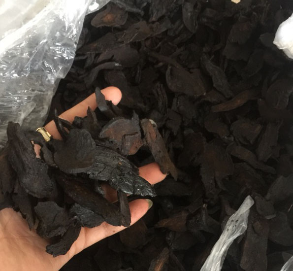 Trà Hà Thủ Ô - 500G (Làm đen tóc)