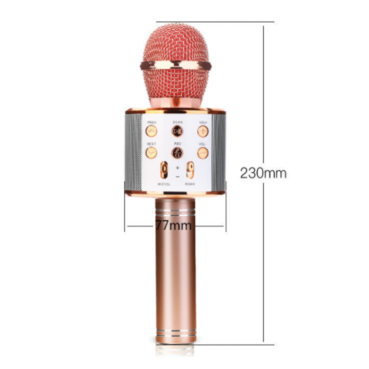 Mic Karaoke Bluetooth - Micro Không Dây Cầm Tay WS-858