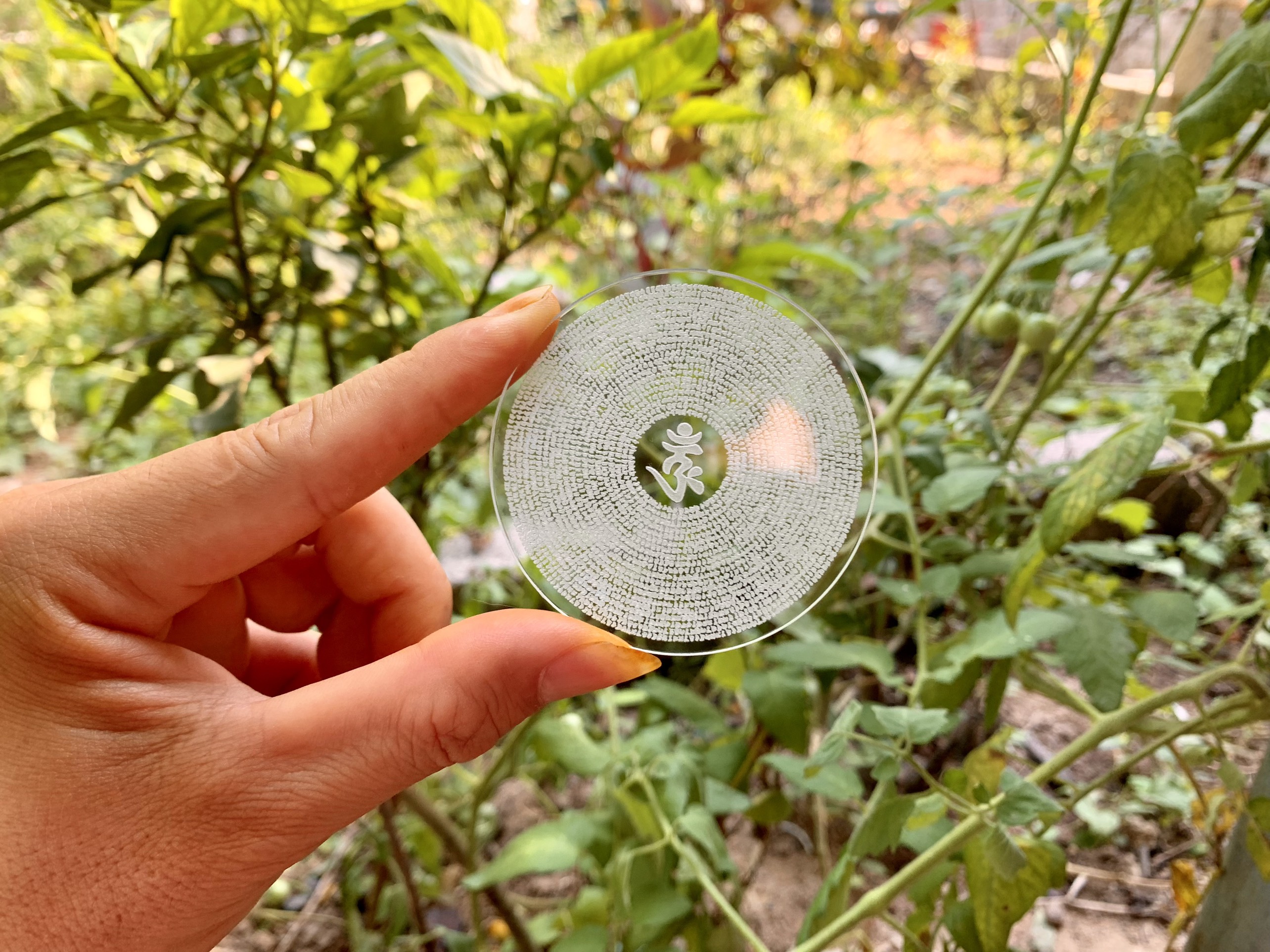 Chú Lăng Nghiêm Phật Pháp
