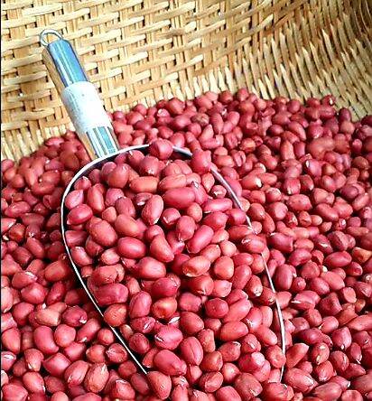 Lạc đỏ quê 500gr