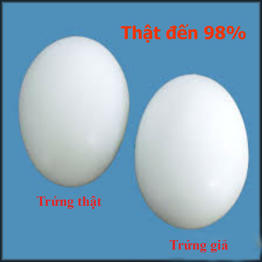 Combo 20 trứng nước cho chim bồ câu - trứng nước cho chim bồ câu - trứng nước cho chim - trứng nước cho chim