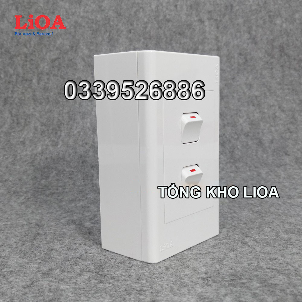 Combo 2 công tắc điện 1 chiều + mặt lỗ vuông LiOA - Lắp nổi