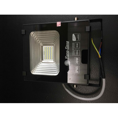 Đèn led chiếu pha Rạng Đông 30W - Model CP06 30W-6500K,3000K