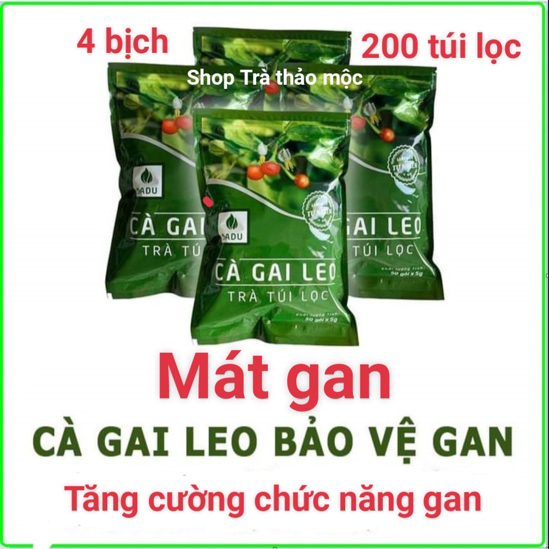 Trà cà gai leo túi lọc Sadu mát gan, thải độc gan 1kg_4 bịch
