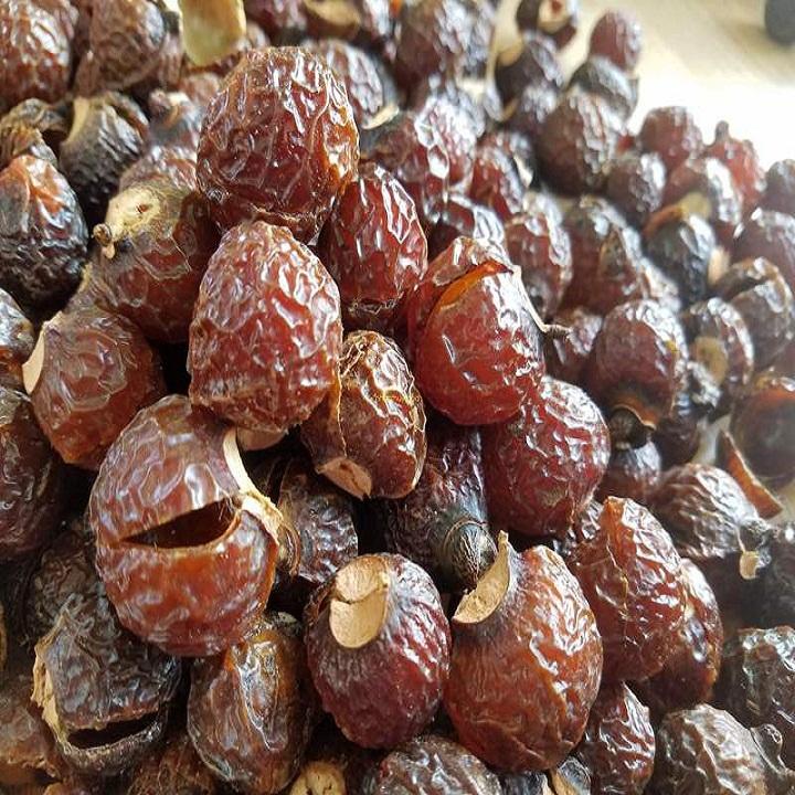 Combo 5kg quả bồ hòn loại 1 giảm giá