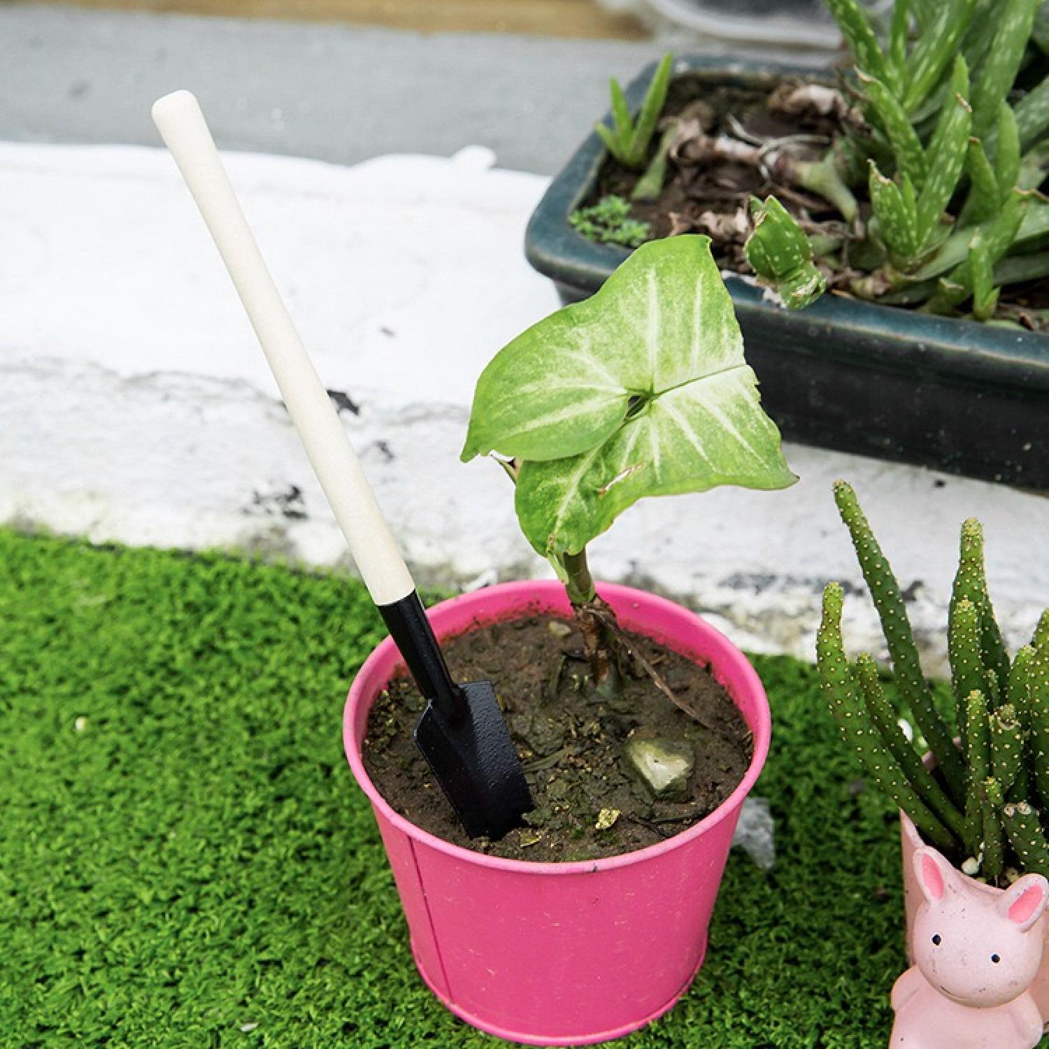 Bộ 3 cuốc xẻng làm vườn mini tiện dụng/ bộ dụng cụ làm vườn mini/ bộ làm vườn mini 3 món/ bộ 3 dụng cụ làm vườn mini