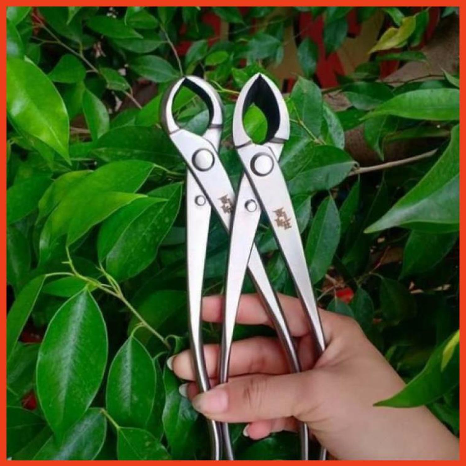 Kìm Cạp Thép Trắng Nguyên Khối