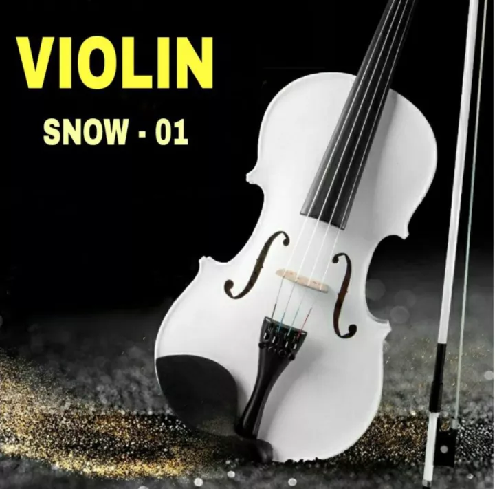 [HCM]Đàn Violin cao cấp Deviser V30 4/4 FULLBOX ( Hộp đựng đàn, Vĩ kéo, Ngựa đàn, Nhựa thông, Dây sơ cua )
