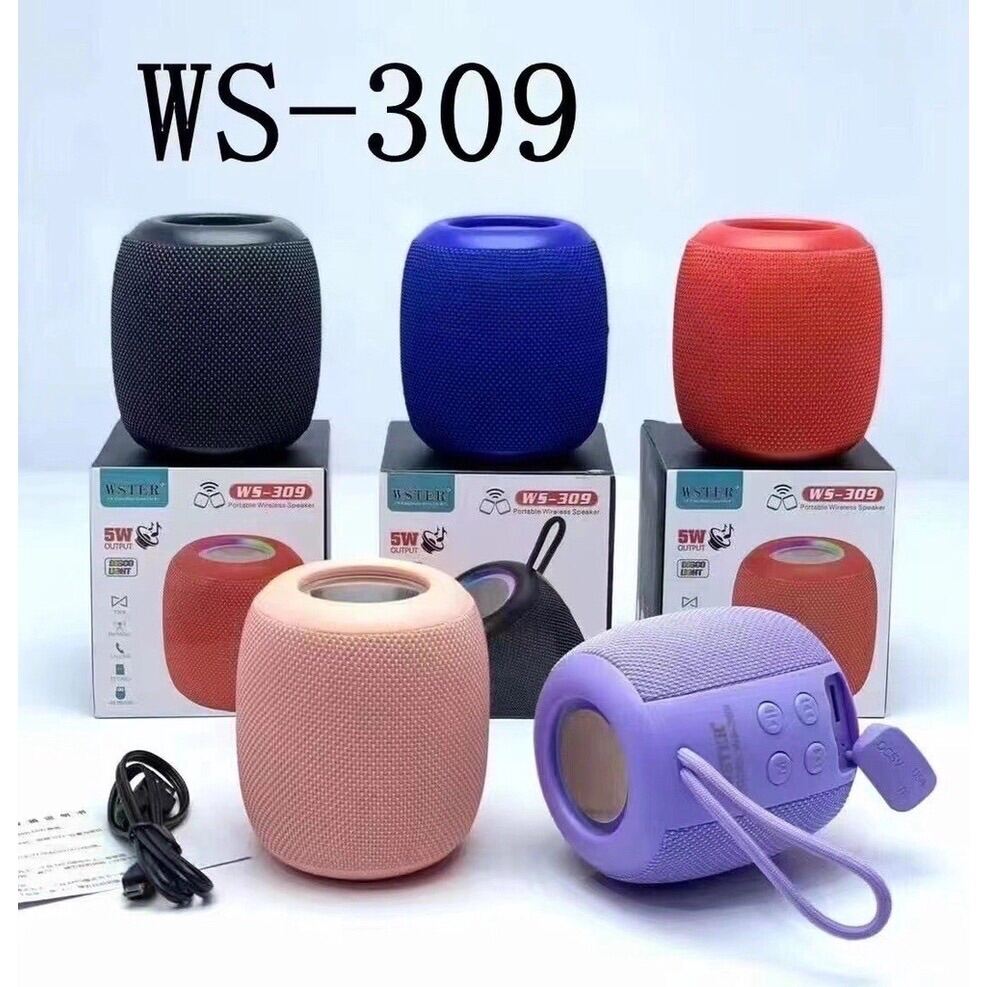 LOA BLUETOOTH WSTER WS-309 ÂM THANH CỰC HAY