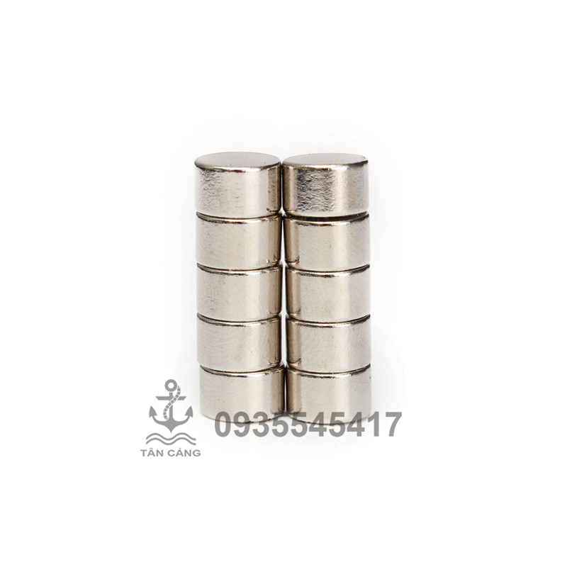 combo 10 Nam châm tròn 8 x 5 mm
