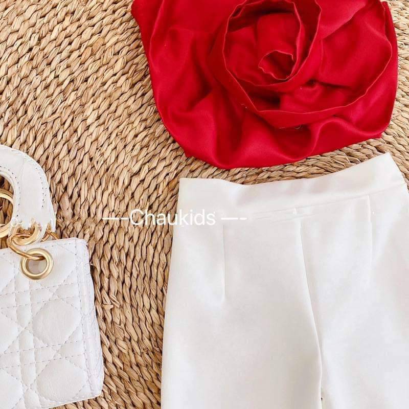 Set bộ cho bé diện tết 10-20kg
