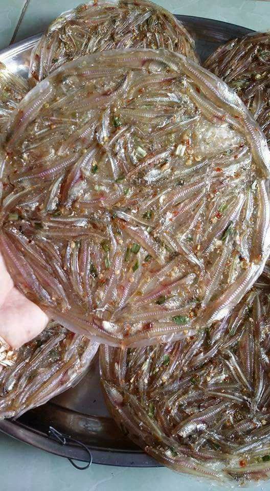 Bánh tráng cá cơm 1 kí Sông Đốc Cà Mau