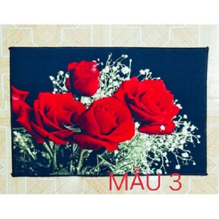 Thảm Lau Chân In Hình 3D ,RẺ ,BỀN ,ĐẸP