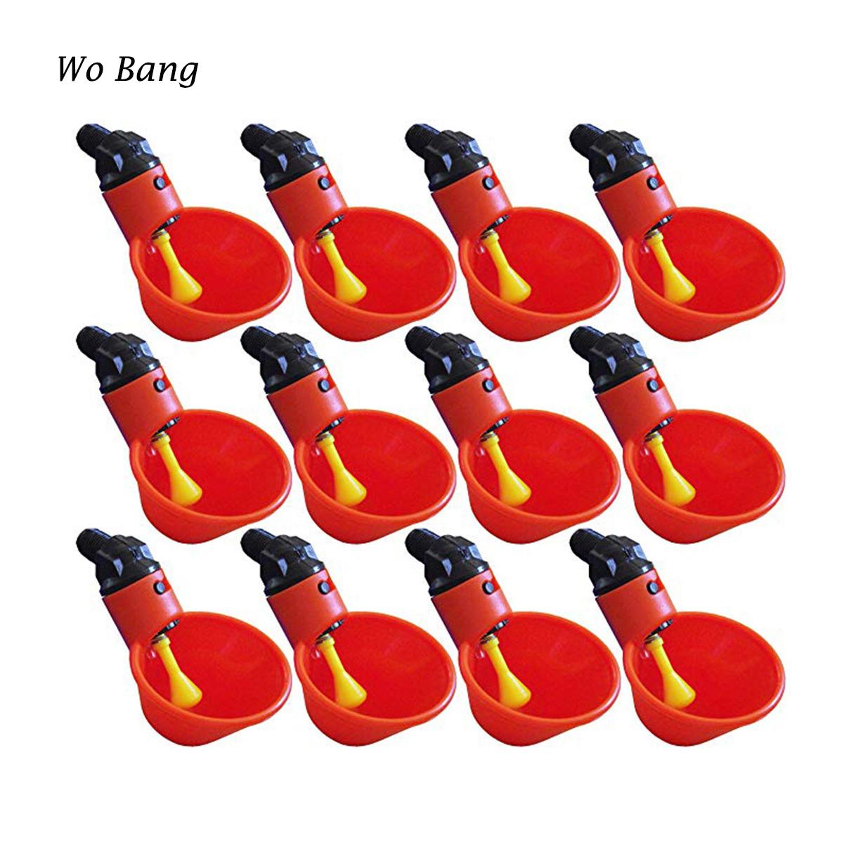 Thức ăn Tự Động Chim Chuồng Gia Cầm Gà Tỳ Hữu Người Uống Nước Cốc Tập Uống 12 Chiếc