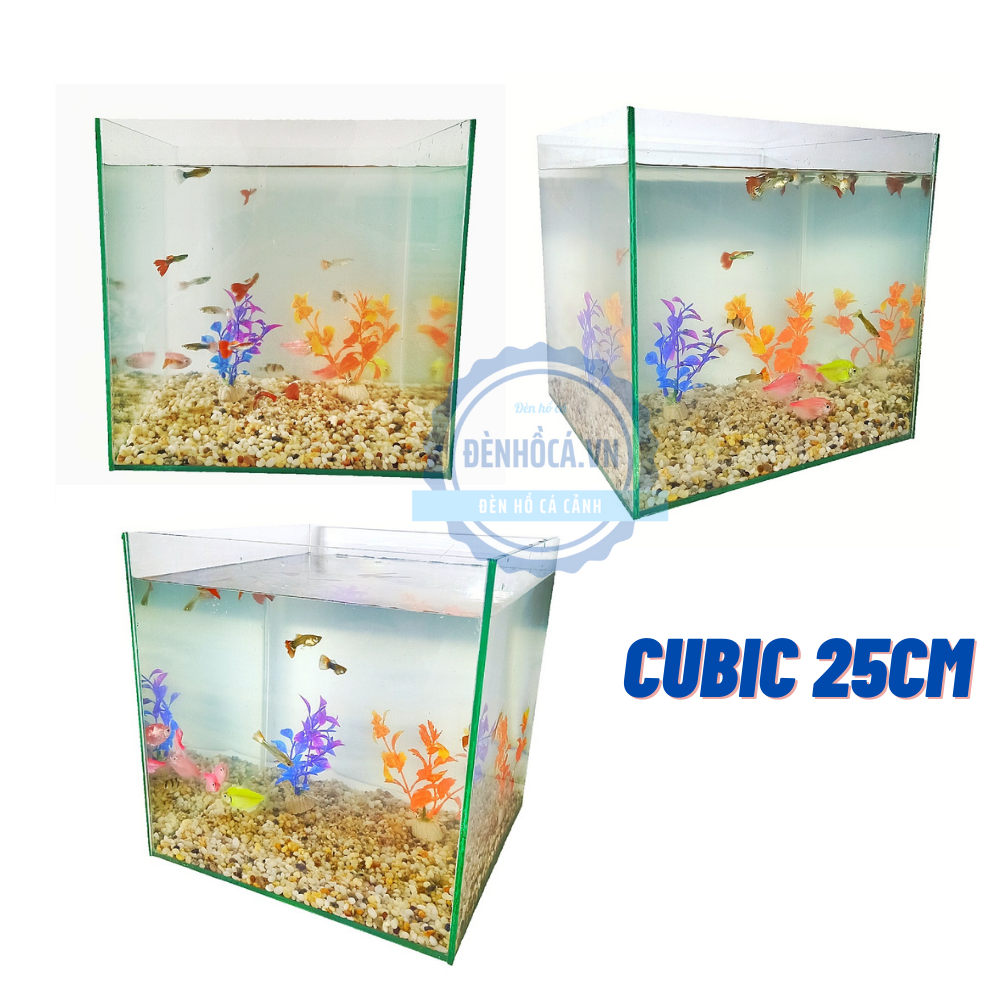 [Hoàn Tiền 10%] Hồ cá mini CUBIC 25cm để bàn