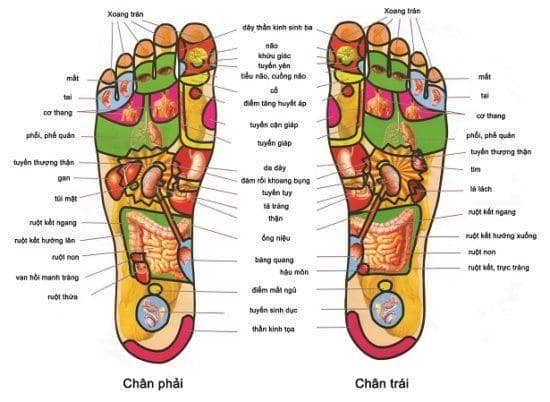 Dầu Cù Là Trắng Massage Huyệt Bàn Chân