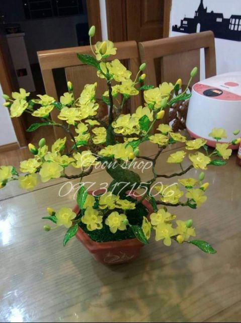 Nguyên liệu chậu mai pha lê cỡ nhỏ