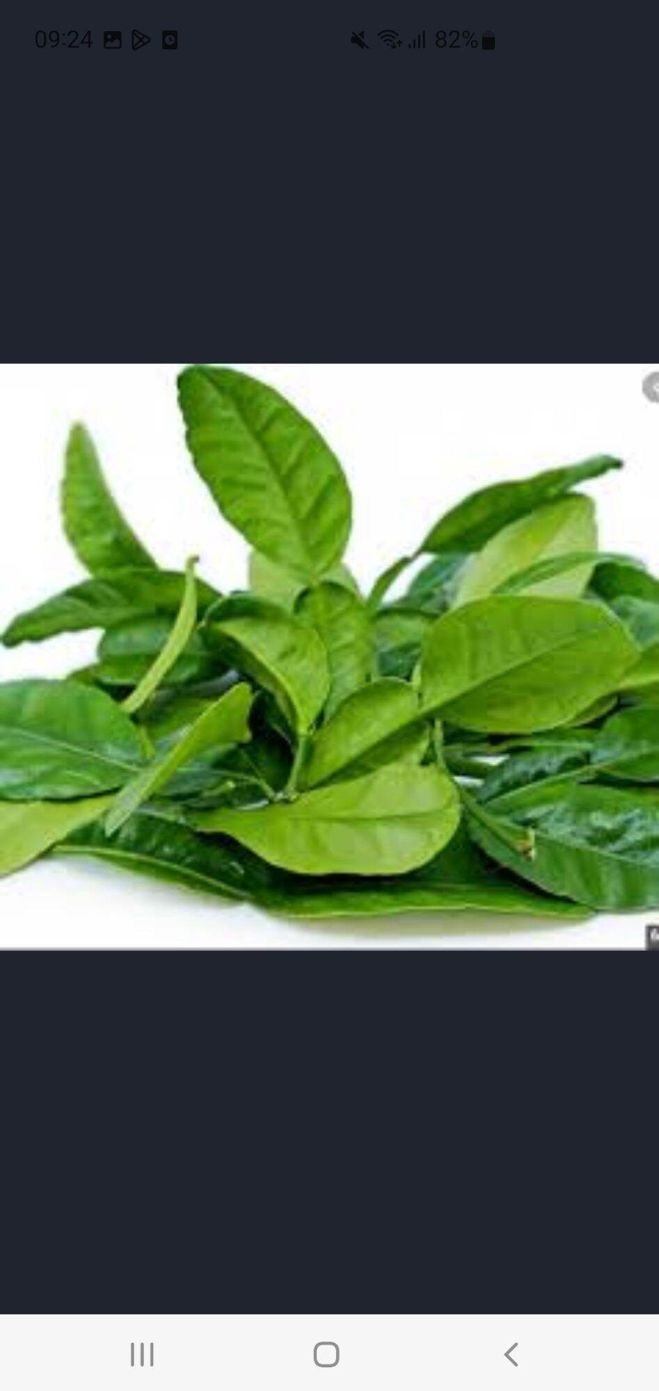 100gr Lá chanh ( tươi)