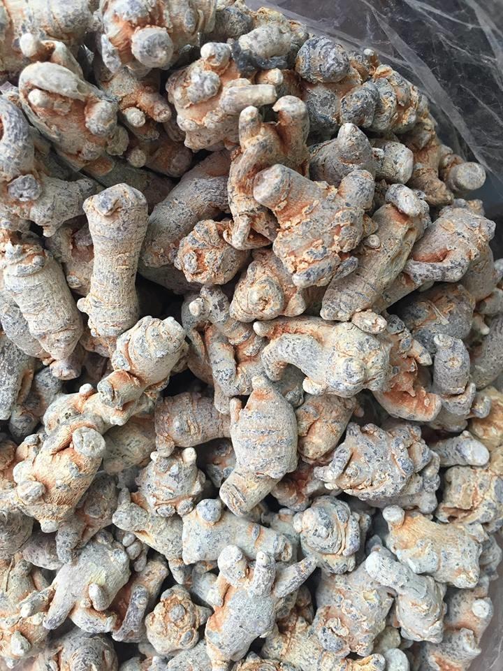 Tam thất bắc khô 500g (loại 7 củ/lạng)