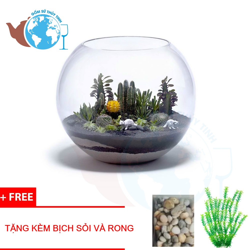 T11 Hồ Cá Thuỷ Tinh Bầu Bể Cá D17cm x 13cm