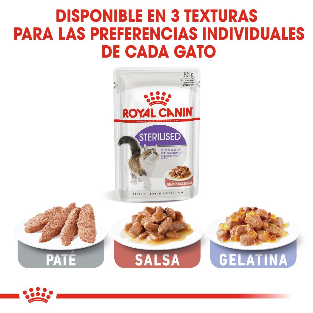 Pate ROYAL CANIN 85g FREE SHIP TRỌN BỘ 30 vị