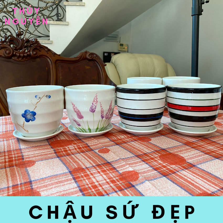 Chậu gốm sứ mini trồng sen đá để bàn