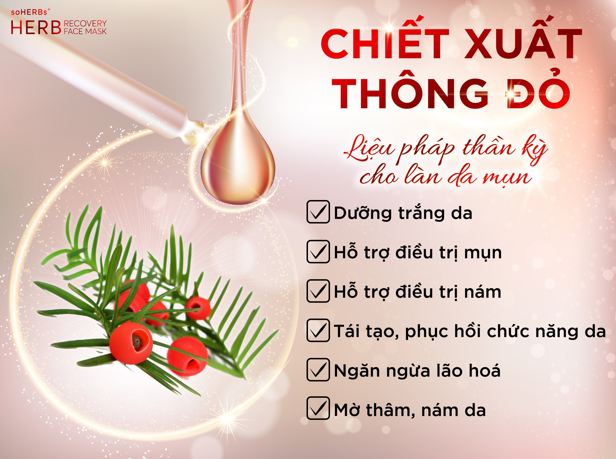[HCM]MẶT NẠ CẤP ẨM NGỪA MỤN HERB