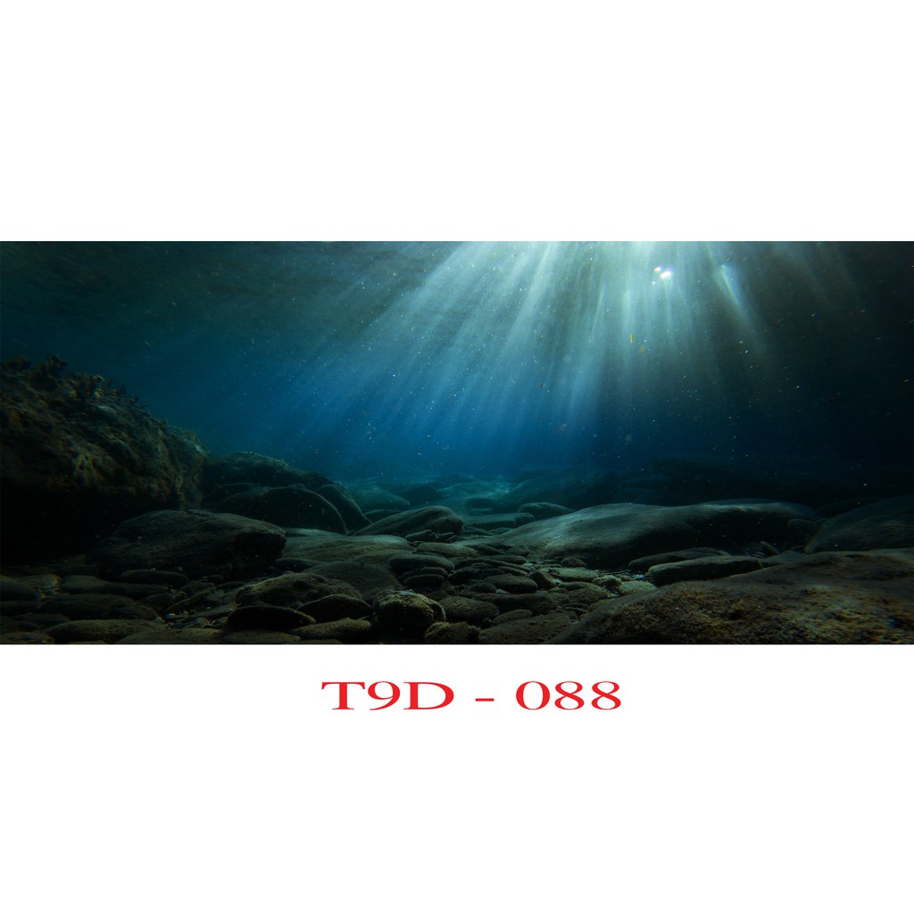 Tranh 3D bể cá mã T9D-088 kt (60,80,90,100,1m2,1m5,1m6)