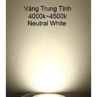 Đèn Led Rọi Ray Ống Bơ 12W Trang Trí Shop