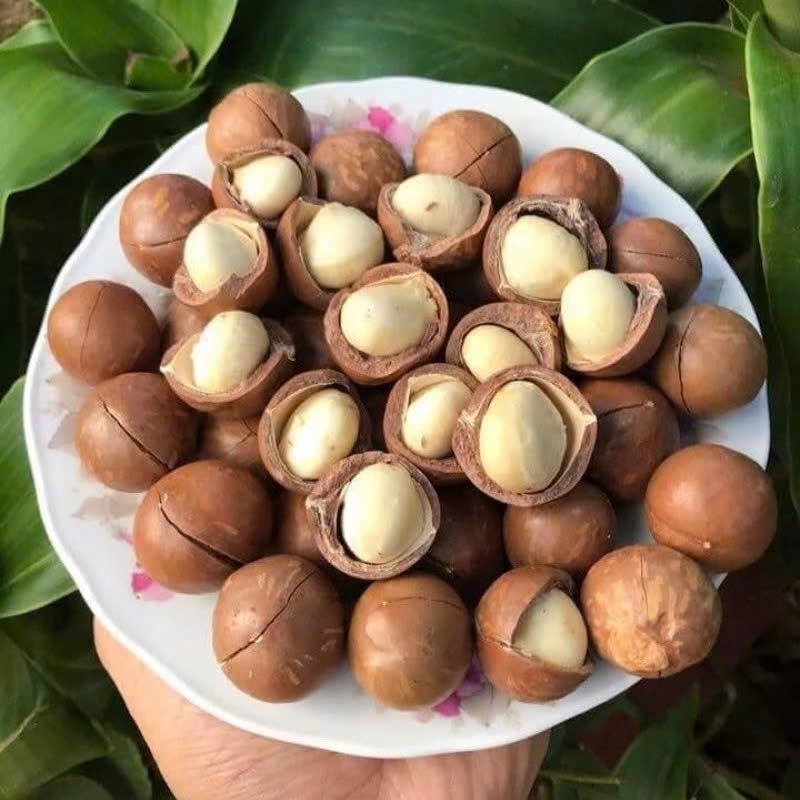 Hạt Mắc Ca Ăn Liền 500g - Hạt Macca - Macadamia Nut - Ăn Vặt Denfood