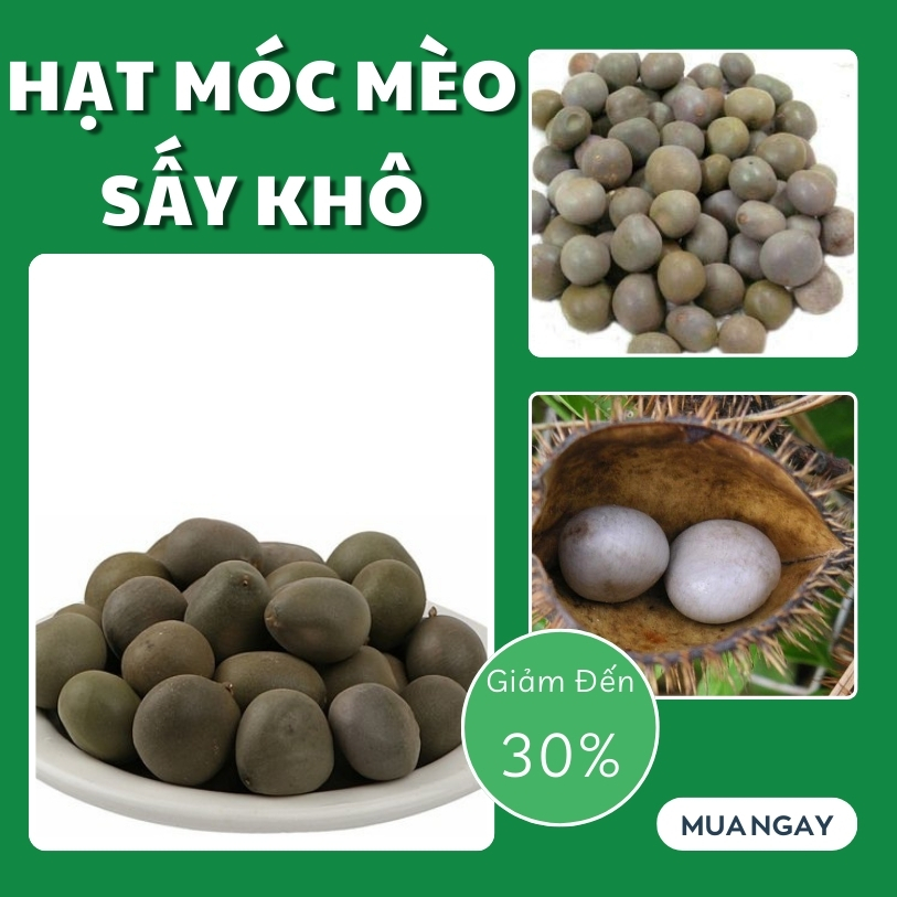 [Hàng mới về] Hạt móc mèo 500g - Tấn Phát - Hàng sạch chuyên dùng để sắc nước và pha trà cực kỳ hiệu quả