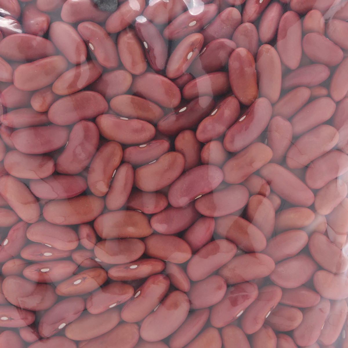 Đậu đỏ tây PHÚ MINH TÂM 450g