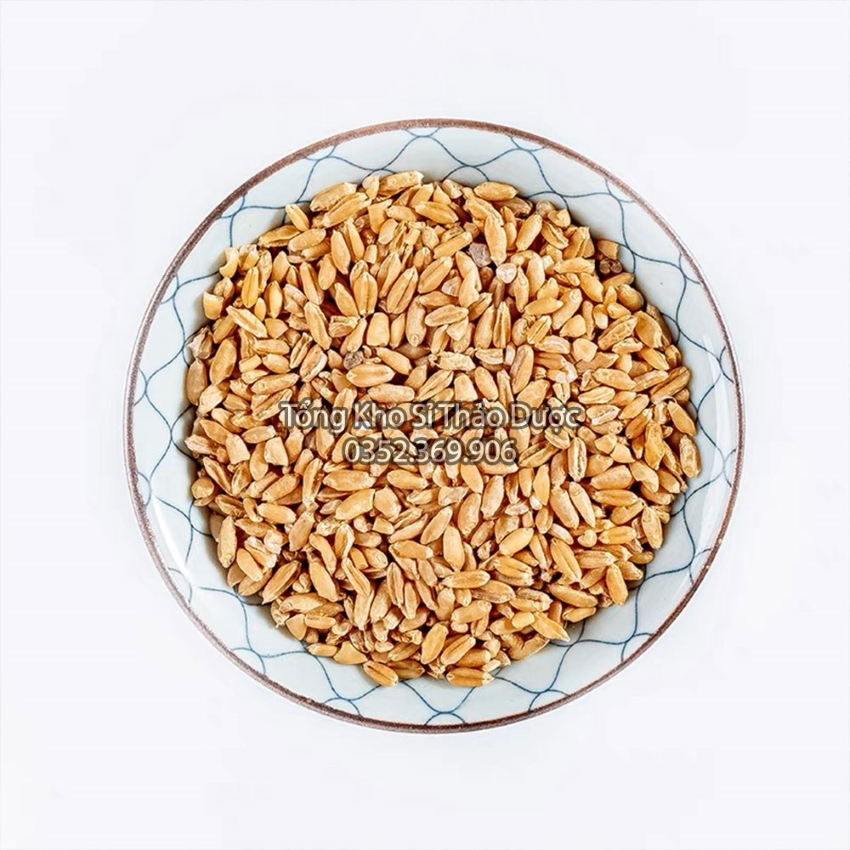 Lúa Mì 500g
