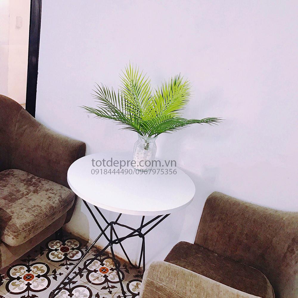 Cây Dừa Cảnh 50cm - Cây Nhựa Cao Cấp