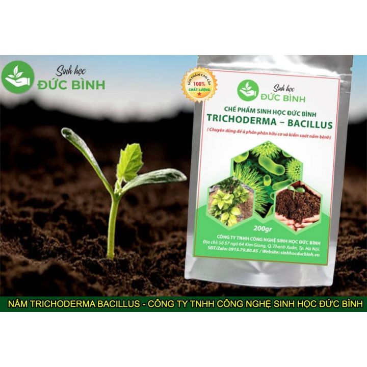 NẤM ĐỐI KHÁNG TRICHODERMA BACILLUS ( Chuyên dùng để ủ phân hữu cơ và kiểm soát nấm bệnh)