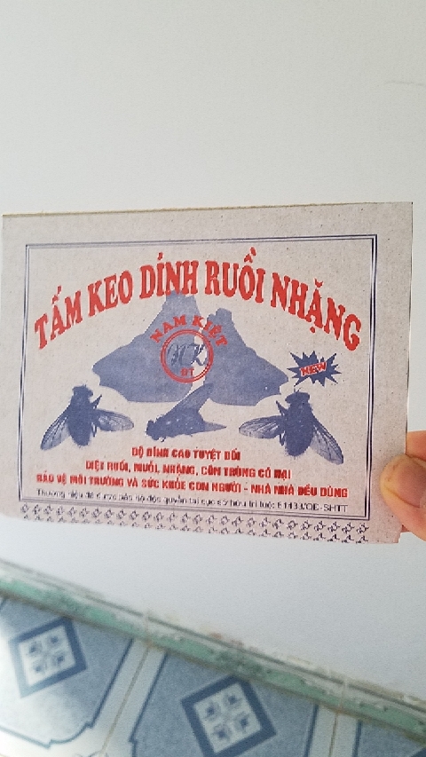 [50 MIẾNG] Combo 50 miếng keo dính ruồi siêu dính (miếng bẫy ruồi)