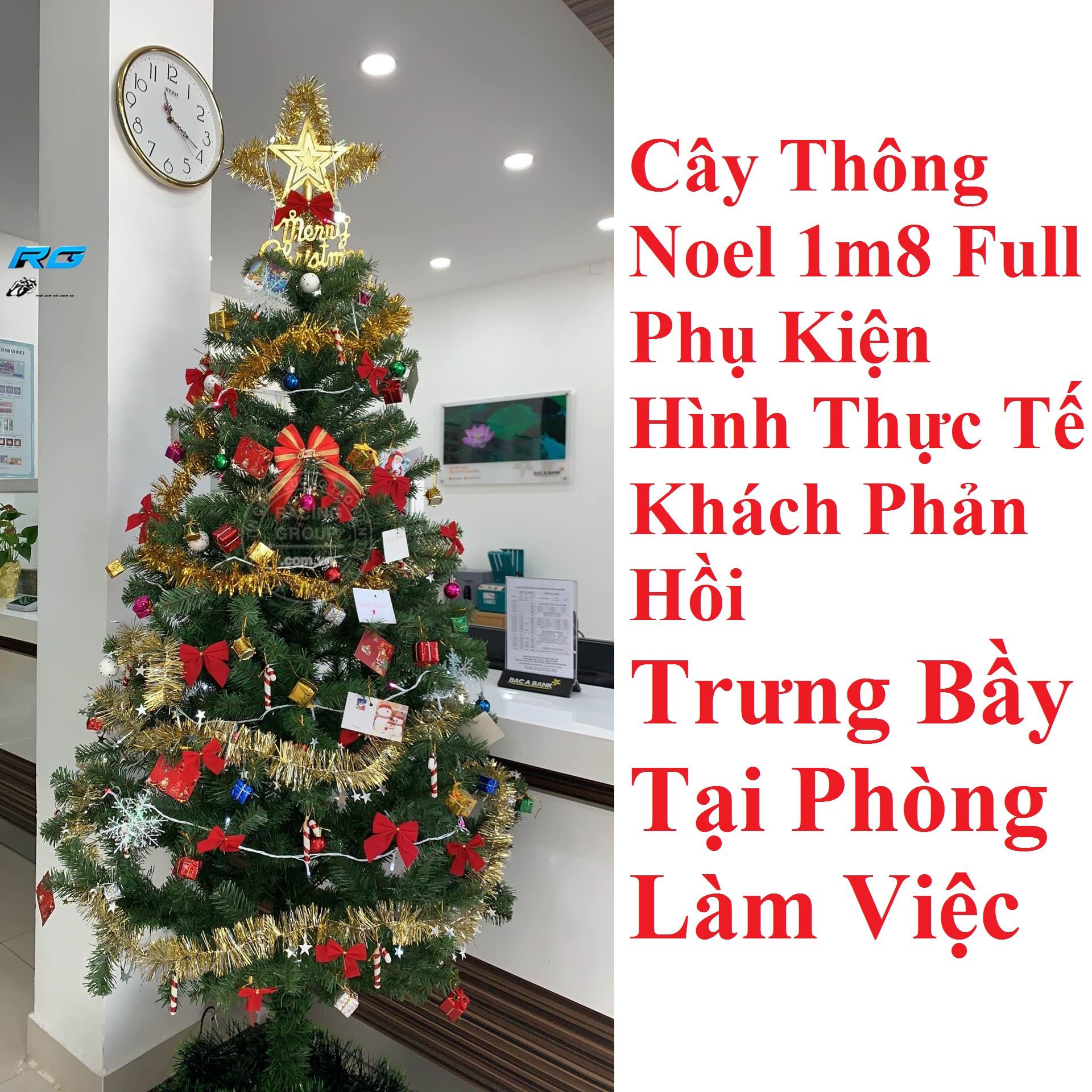 Cây Thông trang trí Noel, giáng sinh