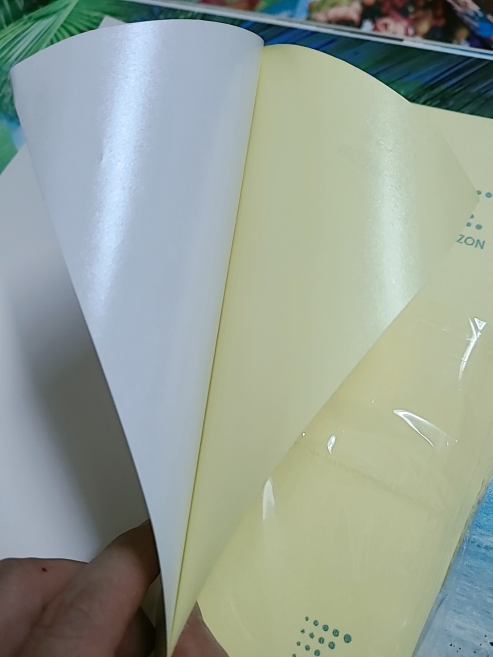 Decal Đế Vàng Amazon A4 - Tập 100 Tờ