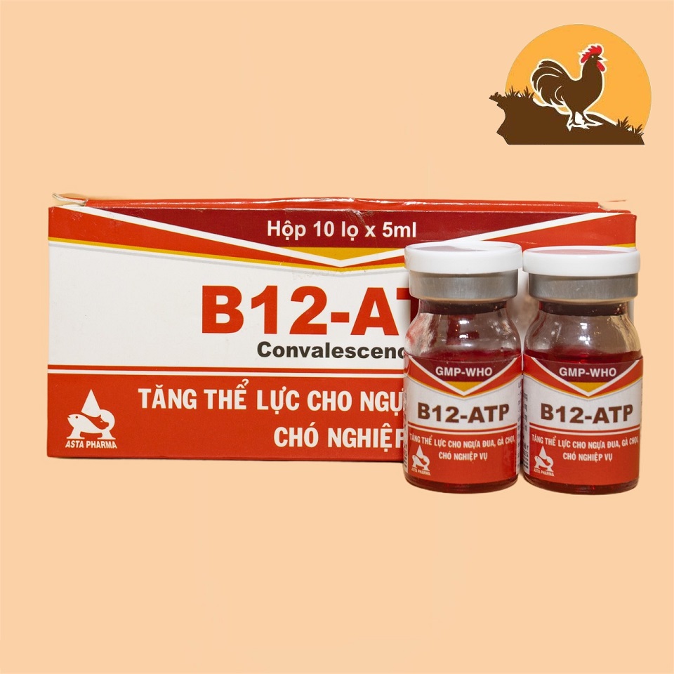 COMBO 10 LỌ Thuốc tăng lực cho gà đá B12 ATP