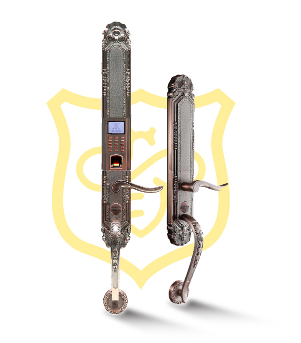 [HCM]KHÓA CỬA VÂN TAY CỔ ĐIỂN DESSMANN K5