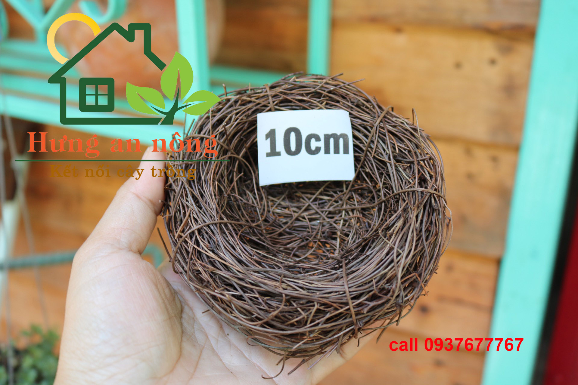 Tổ chim handmade làm từ gỗ mây hàng dầy dặn derco tổ chim trứng chim mô hình làm chậu trồng sen đá làm chậu treo CÓ 5 SIZE CHỌN