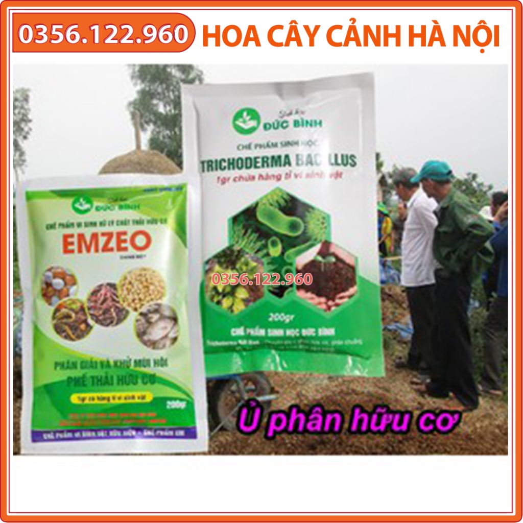 Chế phẩm vi sinh trichoderma bacillus + chế phẩm EMZEO ủ phân chuồng (lợn, bò, gà, dê, vịt), rơm rạ, lá cây, mùn cưa