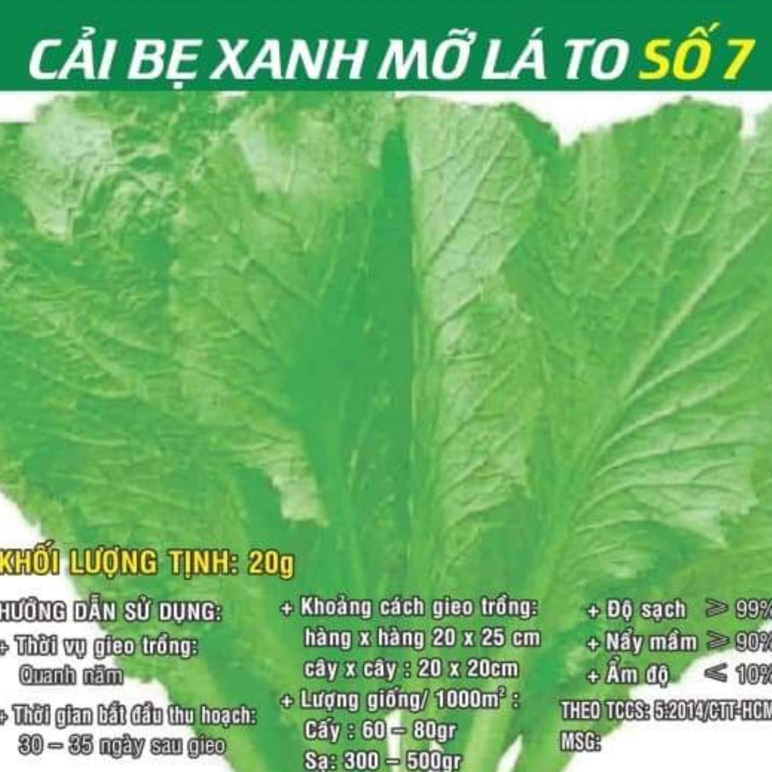 [HCM]Cải bẹ xanh mỡ lá to