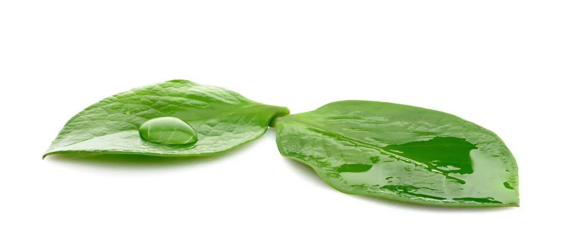CHẤT BÁM DÍNH- Siêu Thấm, Siêu Loang Trải