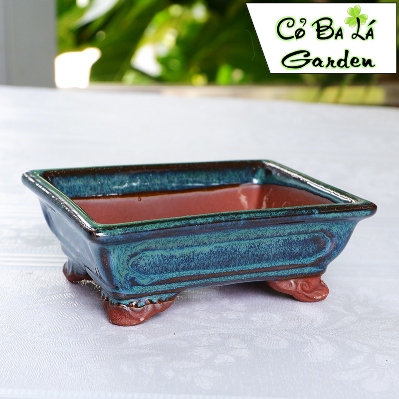 chậu bonsai mini hình chữ nhật có chân