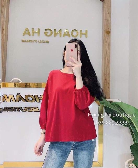 Áo chun tay nhiều màu HARI1119